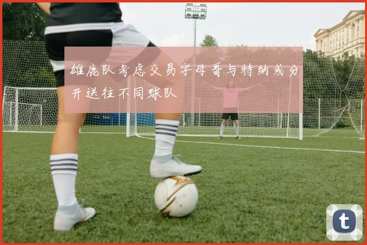 雄鹿队考虑交易字母哥与特纳或分开送往不同球队